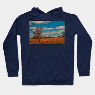 USA. Pennsylvania. Kennett Square. Fall. Hoodie